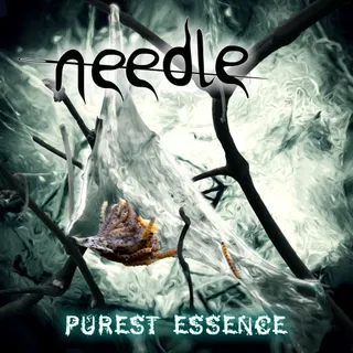 Needle