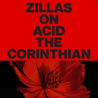 Zillas On Acid