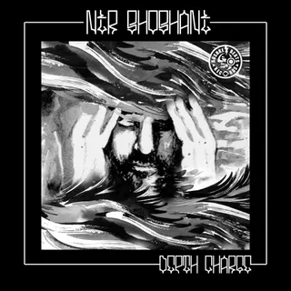 Nir Shoshani