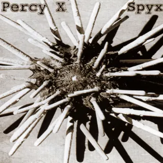 Percy X