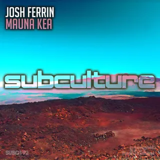 Josh Ferrin