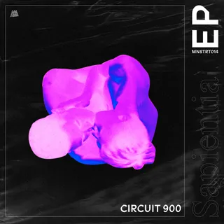 Circuit 900