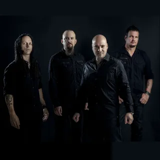 Disturbed