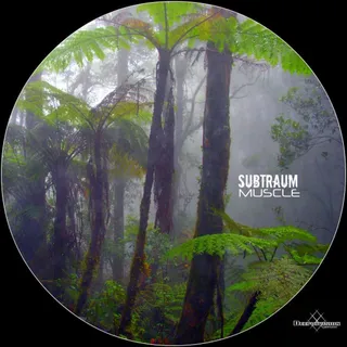 Subtraum