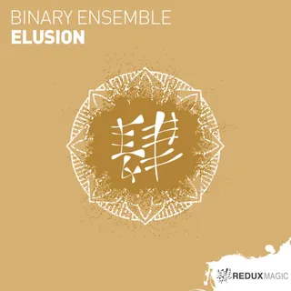 Binary Ensemble