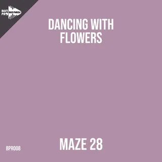 Maze 28