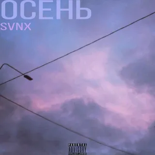 Svnx