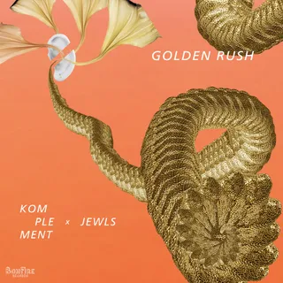 Komplement