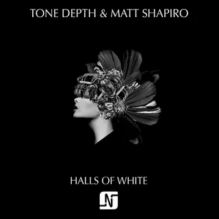 Matt Shapiro