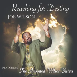 Joe Wilson