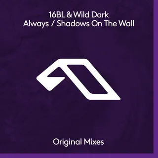 Wild Dark