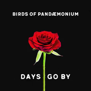 Birds Of Pandæmonium