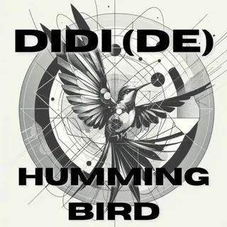 Didi (De)