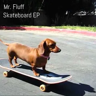 Mr. Fluff