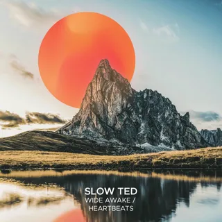 Slow Ted