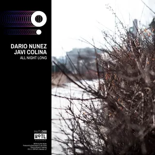 Dario Nunez, Javi Colina