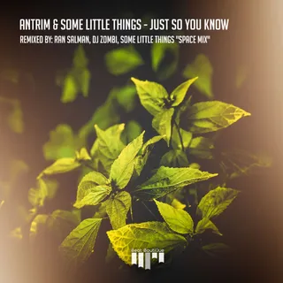 Some Little Things
