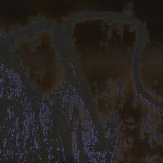 Mu Tate