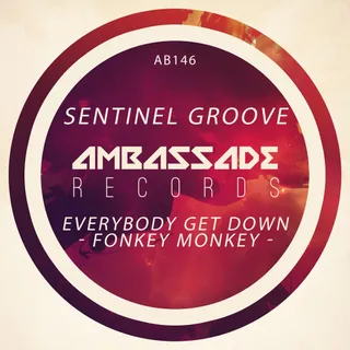 Sentinel Groove