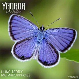 Luke Terry