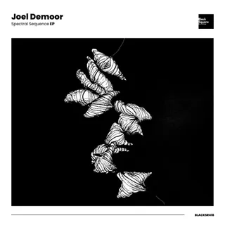 Joel Demoor