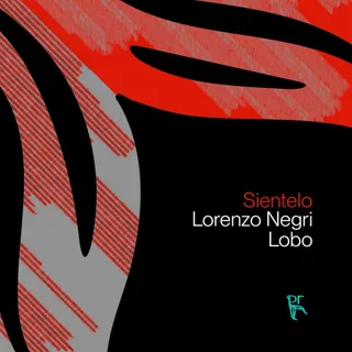 Lorenzo Negri