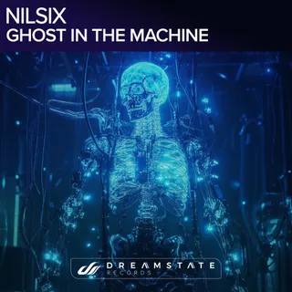 nilsix