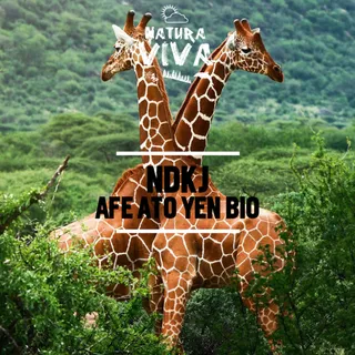 NDKj