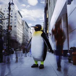 Rocket Pengwin