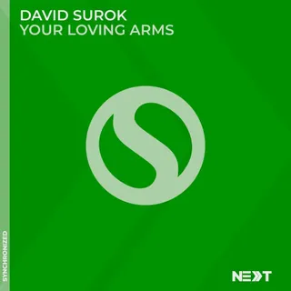 David Surok