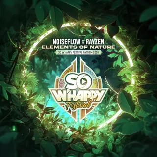 Noiseflow