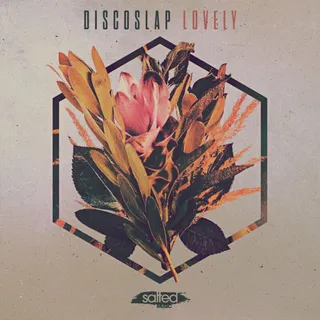 Discoslap