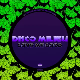 Disco Milieu