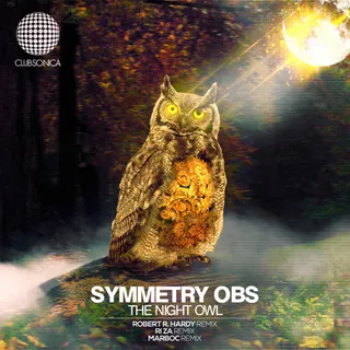 Symmetry Obs