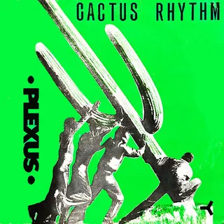 Plexus