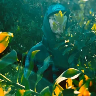 Rozalin Woods