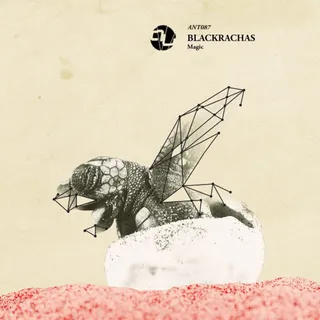 Blackrachas