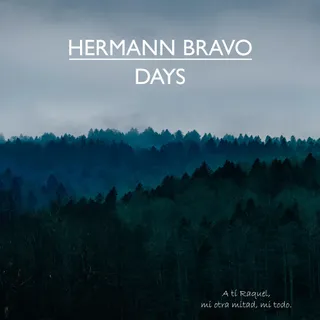 Hermann Bravo