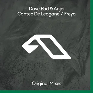 Dave Pad