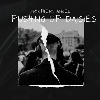Northern Angel