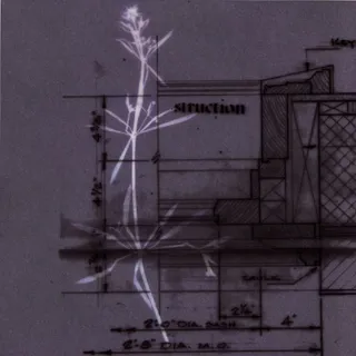 Struction