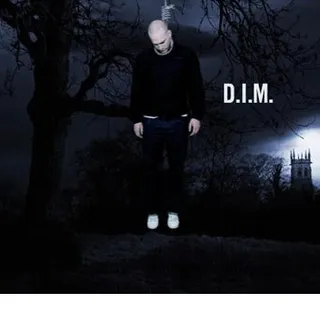 D.I.M. & TAI