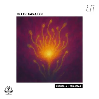 Totto Casasco