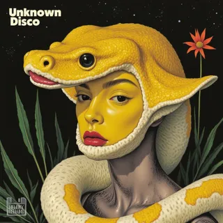Unknown Disco