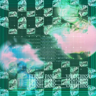 Kernel Panic