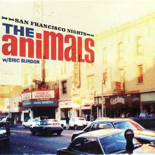Animals