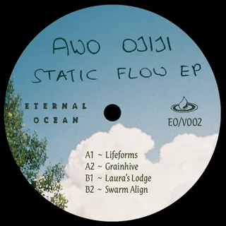 Awo Ojiji