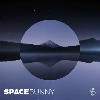 Space Bunny