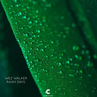 Wez Walker