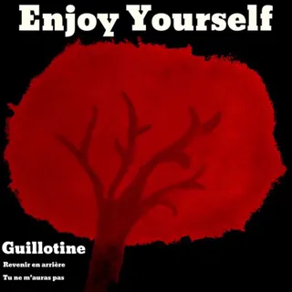Enjoy Yourself